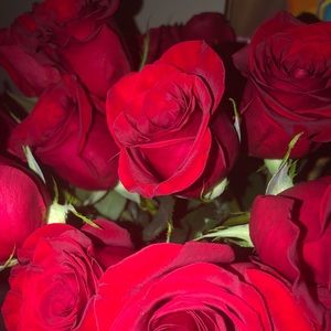 Meet your Posher, Ana